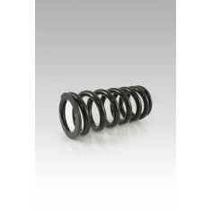 Rr Shock Spr Low Kit Tri Black