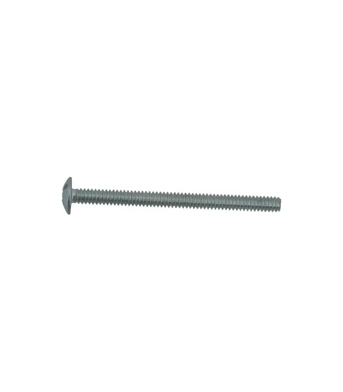 Screw Silver