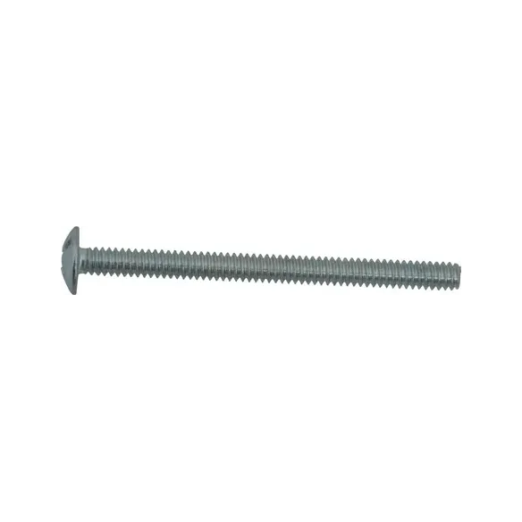 Screw Silver