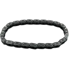 Cam Chain