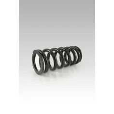 Shock Spring Black