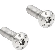 Brake Caliper Mounting Bolts Polished