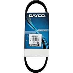 Auxilary Drive Belt