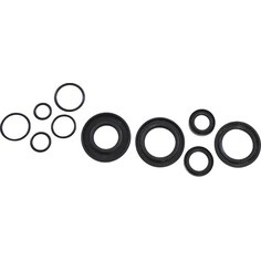 Oil Seal Kit