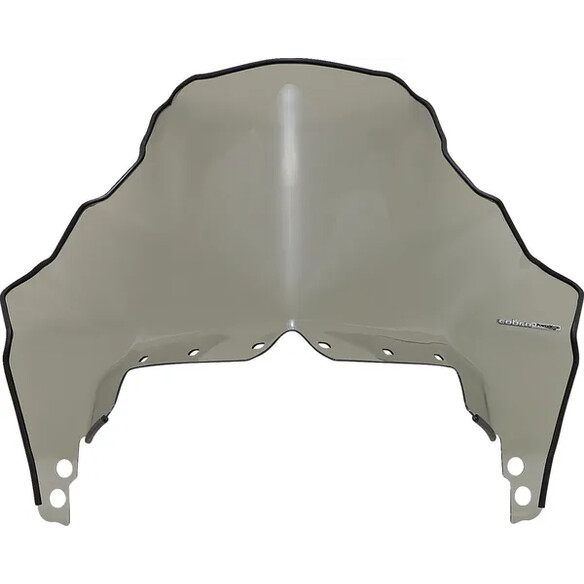 Windshield