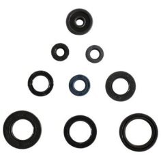 Engine Oil Seal