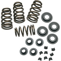 0.650 Sidewinder Valve Spring Kit