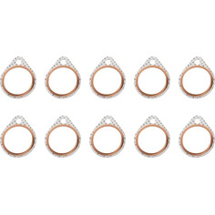 Exhaust Gaskets