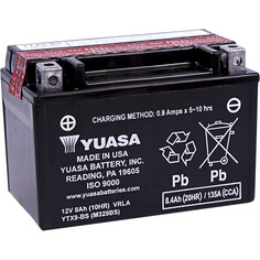Agm Maintenance-Free Battery Black