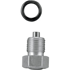 Drain Plug Silver