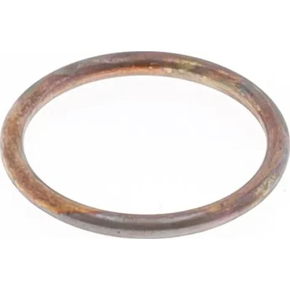 Exhaust Gasket