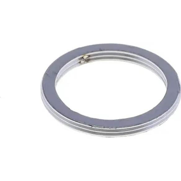 Exhaust Gasket