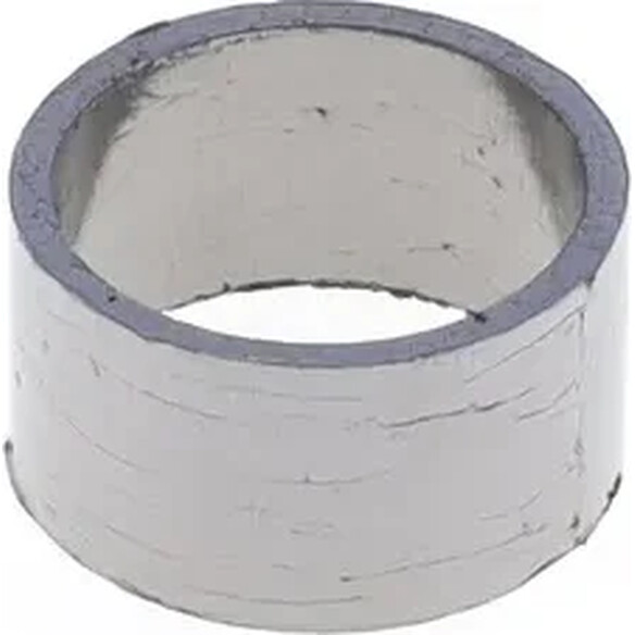 Exhaust Gasket