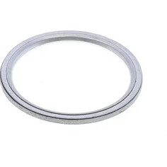 Exhaust Gasket