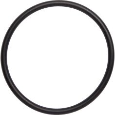 Exhaust O-rings