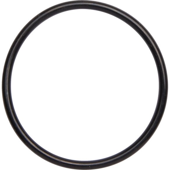 Exhaust O-rings