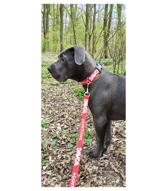 DAVCA Dog leash 200 cm