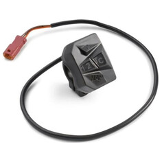 Combination switch