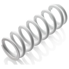 Shock absorber spring