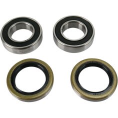 Wheel Bearing And Seal Kit